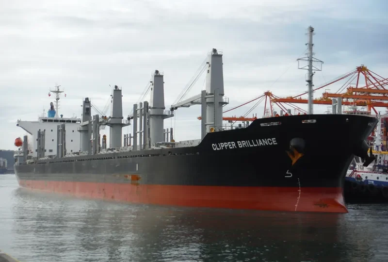 TAIKOO BRILLIANCE Bulk Carrier IMO 9738727 photo 10