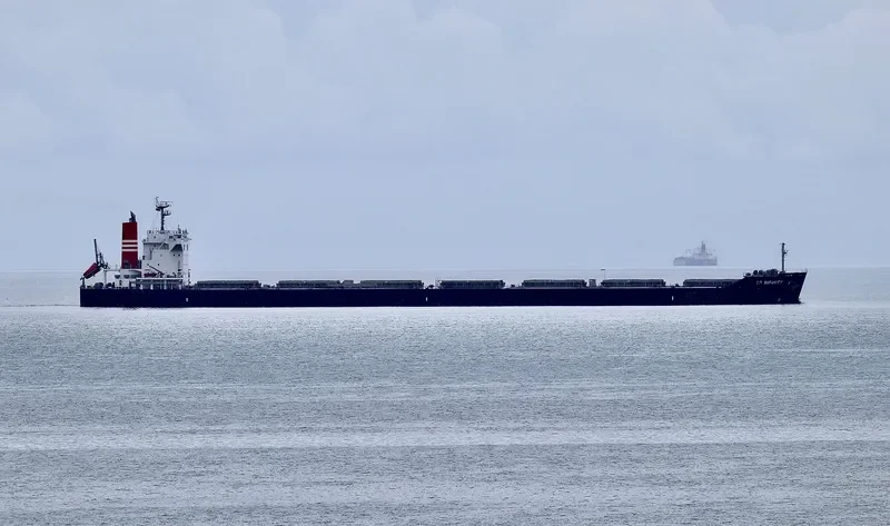 TR INFINITY Bulk Carrier IMO 9738791