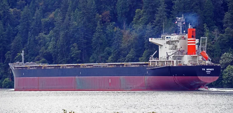 TR INFINITY Bulk Carrier IMO 9738791 photo 2