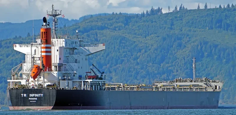 TR INFINITY Bulk Carrier IMO 9738791 photo 3