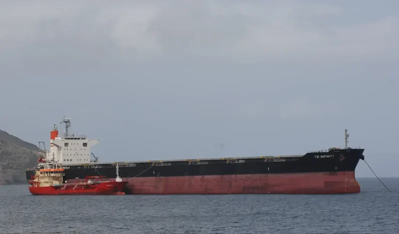 TR INFINITY Bulk Carrier IMO 9738791 photo 7