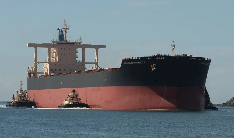 NSU RESPONSIBILITY Bulk Carrier IMO 9738856