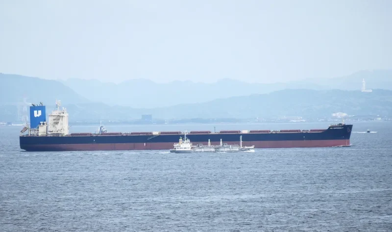 NSU RESPONSIBILITY Bulk Carrier IMO 9738856 photo 6