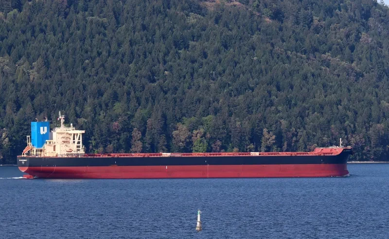 NSU RESPONSIBILITY Bulk Carrier IMO 9738856 photo 7