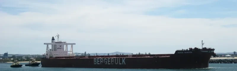 BERGE MAWSON Bulk Carrier IMO 9738868 photo 2