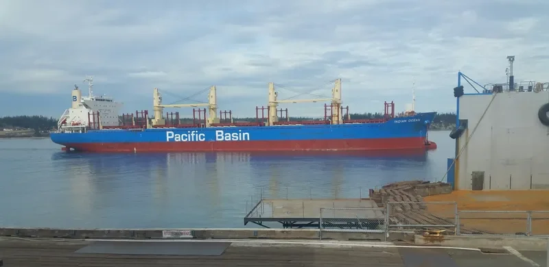 INDIAN OCEAN Bulk Carrier IMO 9738909 photo 2