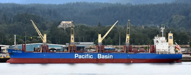 INDIAN OCEAN Bulk Carrier IMO 9738909 photo 6