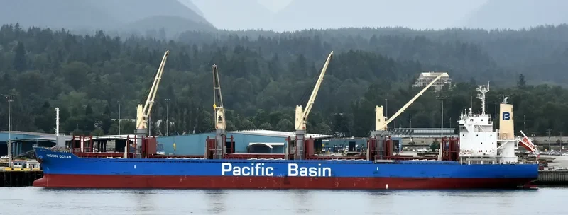 INDIAN OCEAN Bulk Carrier IMO 9738909 photo 7