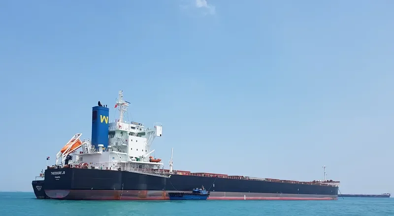 THEODORE JR Bulk Carrier IMO 9739020 photo 2