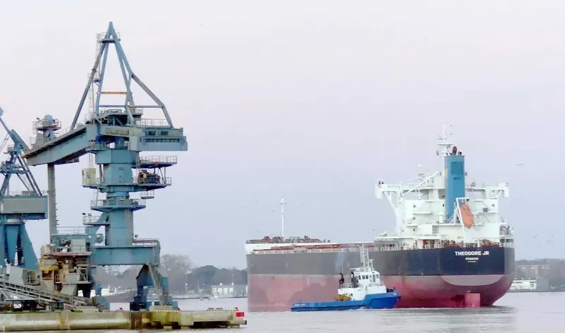 THEODORE JR Bulk Carrier IMO 9739020 photo 6