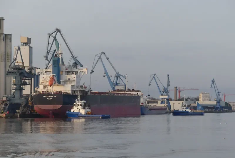 THEODORE JR Bulk Carrier IMO 9739020 photo 7