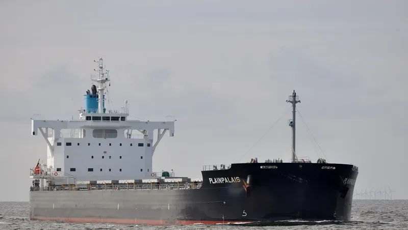 PLAINPALAIS Bulk Carrier IMO 9739032 photo 3