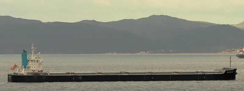 PLAINPALAIS Bulk Carrier IMO 9739032 photo 9