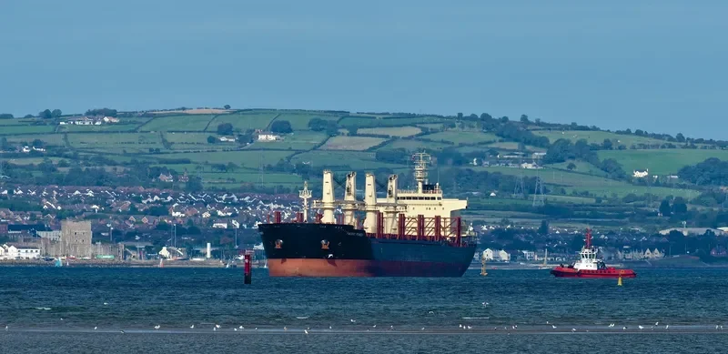PACIFIC PIONEER Bulk Carrier IMO 9739082 photo 2