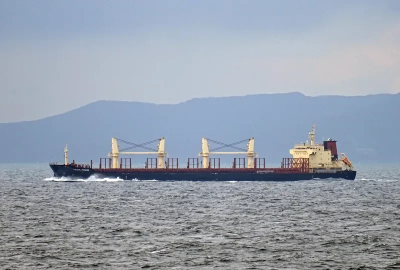 PACIFIC PIONEER Bulk Carrier IMO 9739082 photo 3