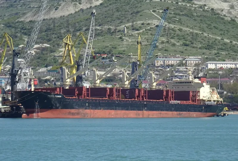 PACIFIC PIONEER Bulk Carrier IMO 9739082 photo 4
