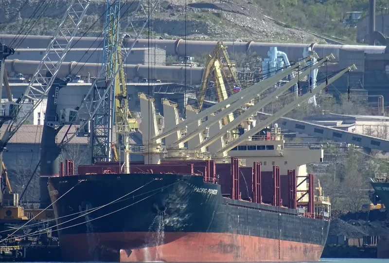 PACIFIC PIONEER Bulk Carrier IMO 9739082 photo 5