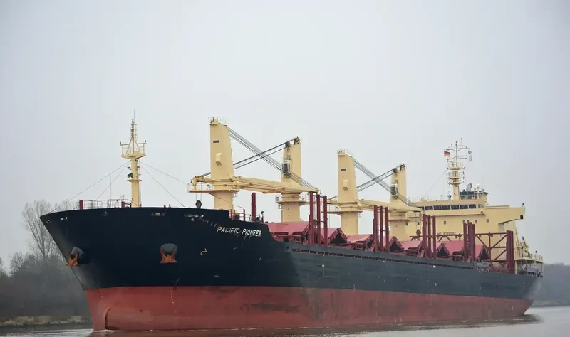 PACIFIC PIONEER Bulk Carrier IMO 9739082 photo 6