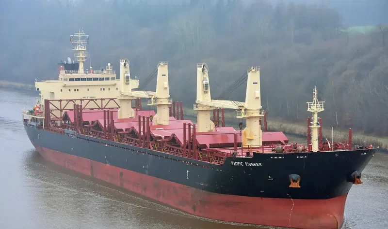 PACIFIC PIONEER Bulk Carrier IMO 9739082 photo 7
