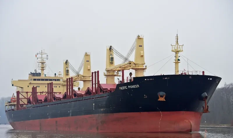 PACIFIC PIONEER Bulk Carrier IMO 9739082 photo 8