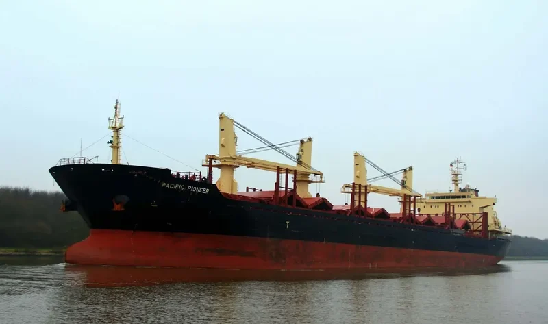 PACIFIC PIONEER Bulk Carrier IMO 9739082 photo 9