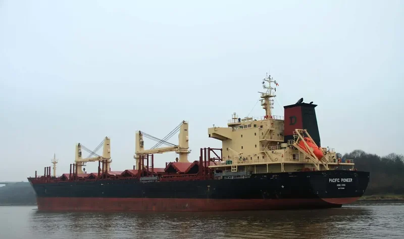 PACIFIC PIONEER Bulk Carrier IMO 9739082 photo 10