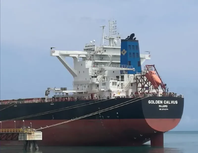 GOLDEN CALVUS Bulk Carrier IMO 9743174 photo 5