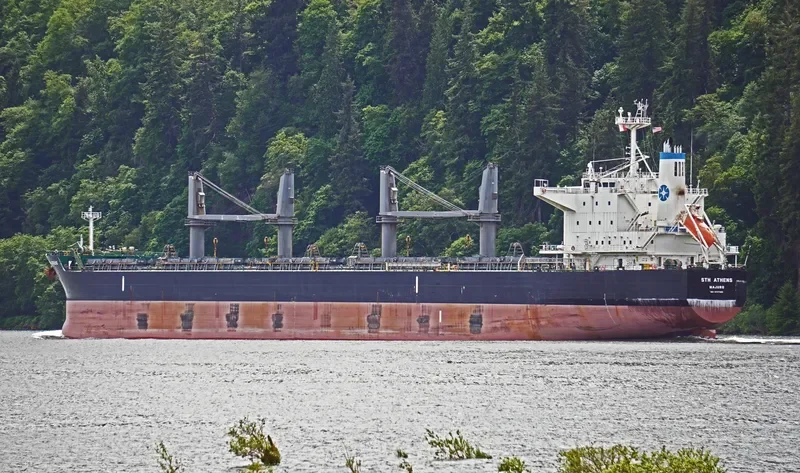 STH ATHENS Bulk Carrier IMO 9747390 photo 5