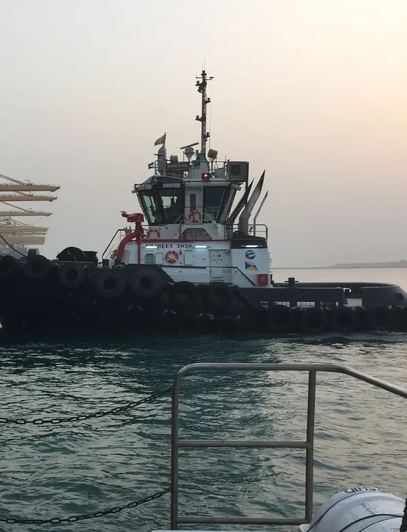 SHAHEEN 2020 General Cargo IMO 9747443