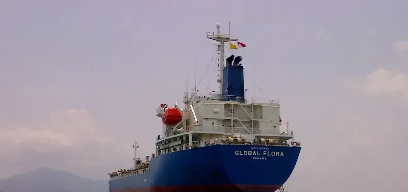 GLOBAL FLORA Tanker IMO 9750452 photo 3