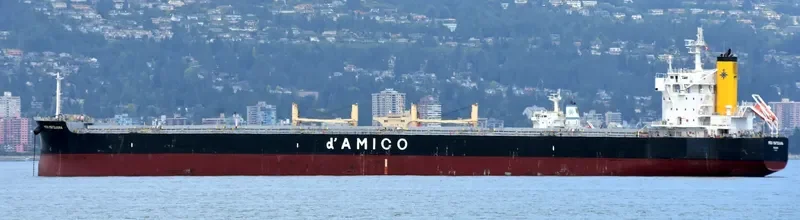 MEDI MATSUURA Bulk Carrier IMO 9755804 photo 5