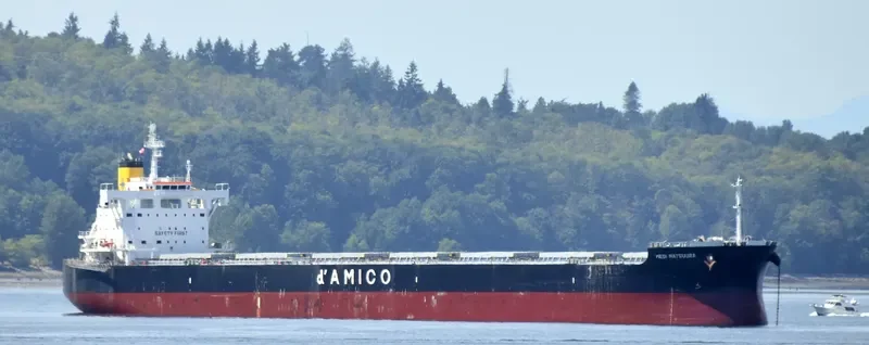 MEDI MATSUURA Bulk Carrier IMO 9755804 photo 6