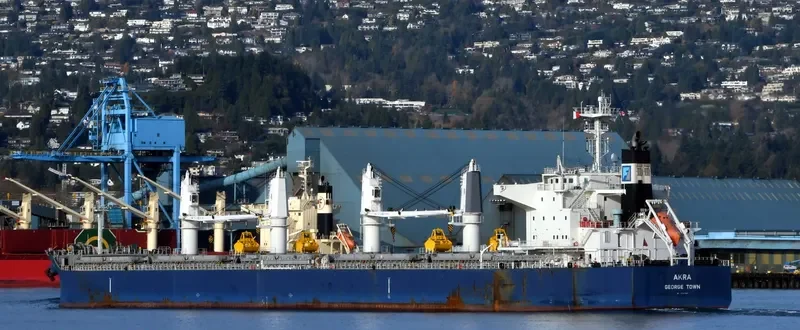 AKRA Bulk Carrier IMO 9757929 photo 9