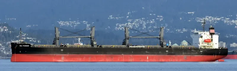 SEA PIONEER Bulk Carrier IMO 9758131 photo 8
