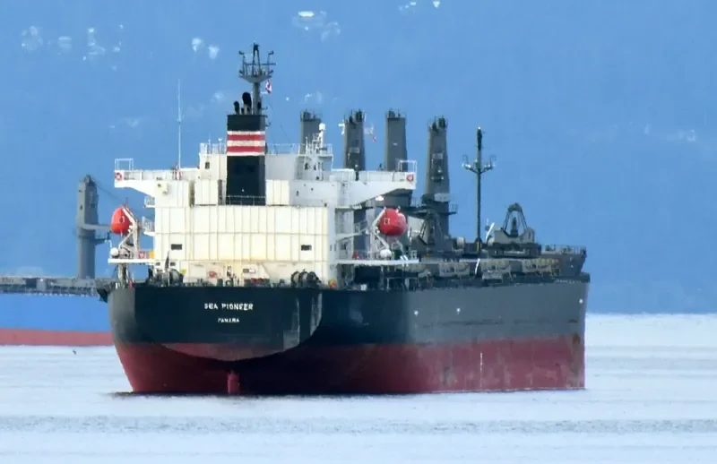 SEA PIONEER Bulk Carrier IMO 9758131 photo 10