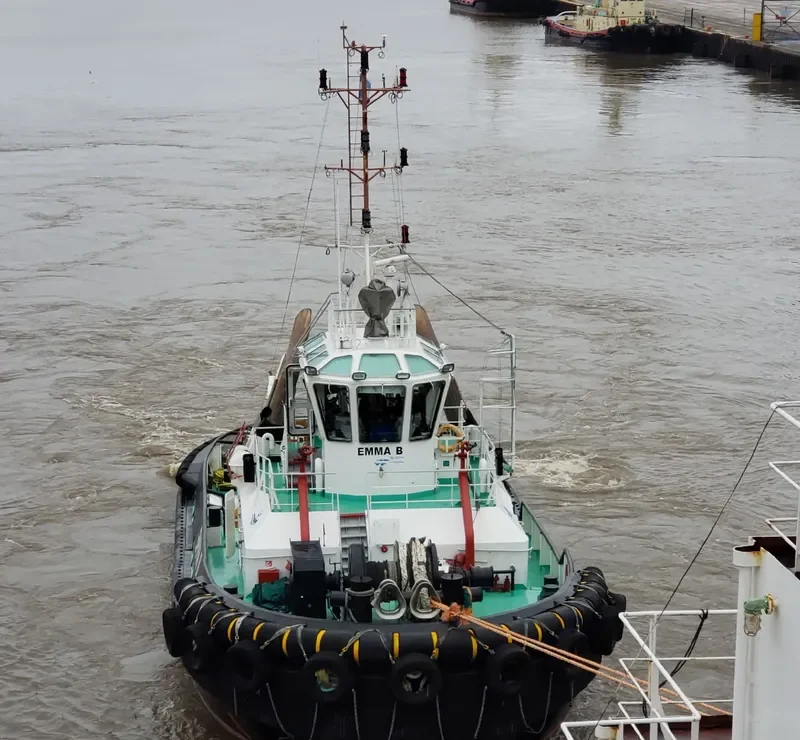 EMMA B General Cargo IMO 9760938 photo 5