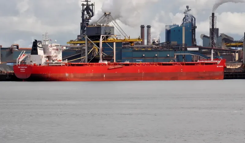 WADI ALMALEKAT Bulk Carrier IMO 9763904 photo 2