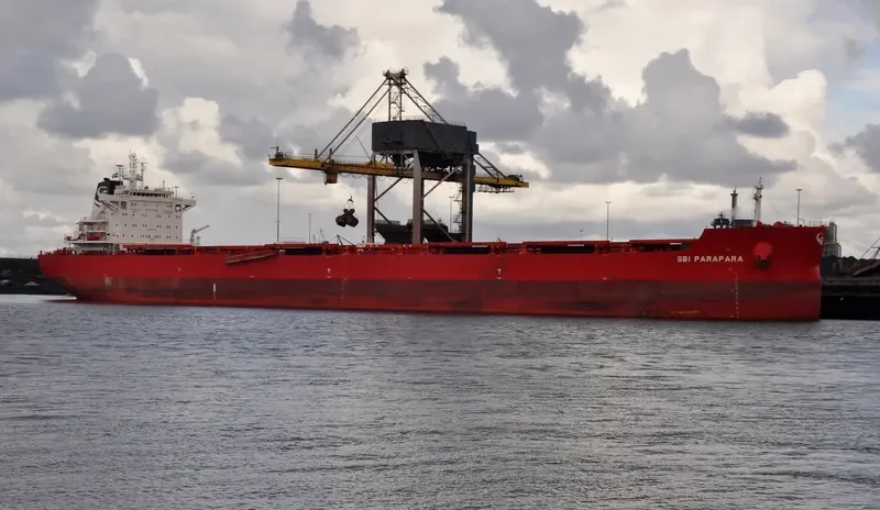 WADI ALMALEKAT Bulk Carrier IMO 9763904 photo 3