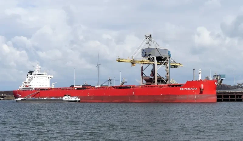 WADI ALMALEKAT Bulk Carrier IMO 9763904 photo 4