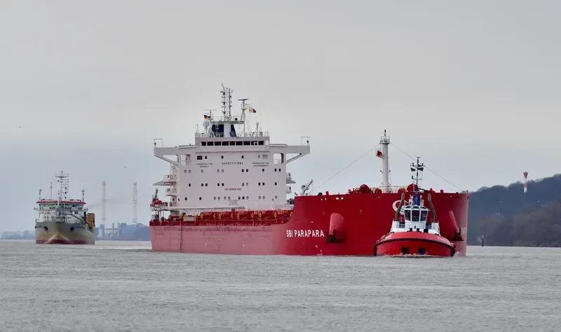 WADI ALMALEKAT Bulk Carrier IMO 9763904 photo 6