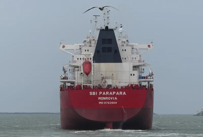 WADI ALMALEKAT Bulk Carrier IMO 9763904 photo 8