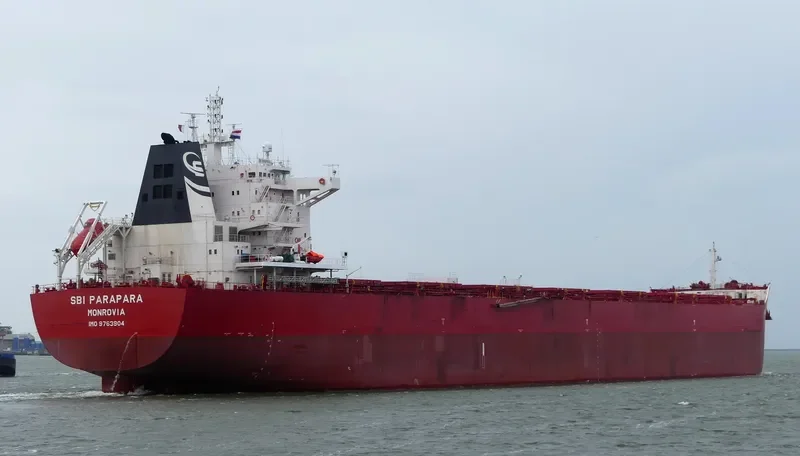 WADI ALMALEKAT Bulk Carrier IMO 9763904 photo 9