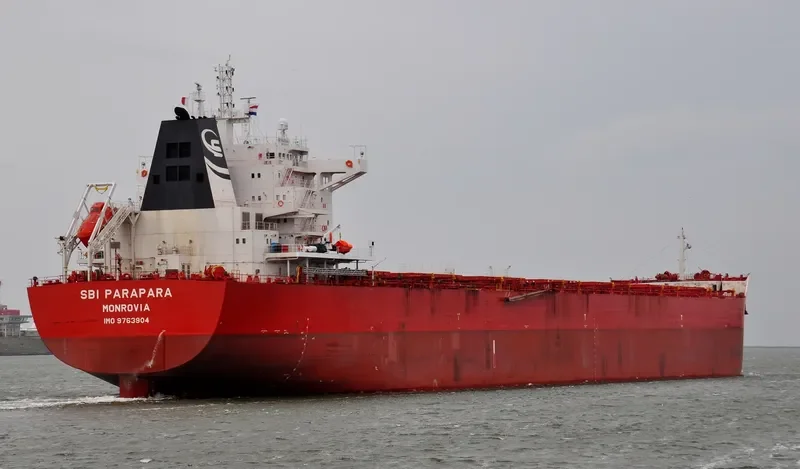 WADI ALMALEKAT Bulk Carrier IMO 9763904 photo 10