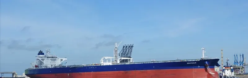 SEAVIGOUR Tanker IMO 9774185