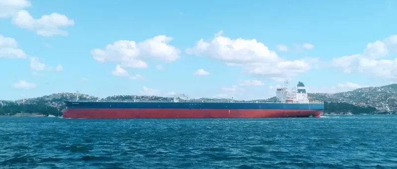 SEAVIGOUR Tanker IMO 9774185 photo 10