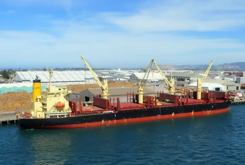 UNION MARK Bulk Carrier IMO 9775153