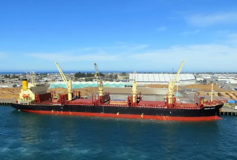 UNION MARK Bulk Carrier IMO 9775153 photo 2