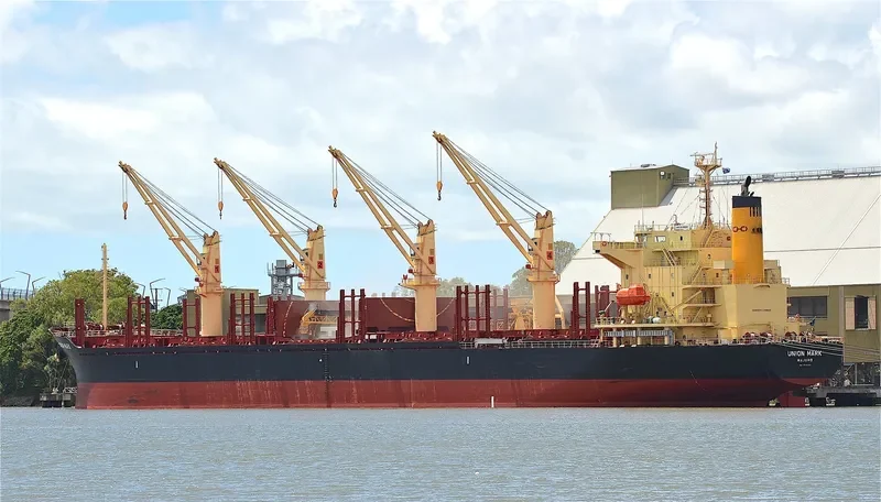 UNION MARK Bulk Carrier IMO 9775153 photo 5