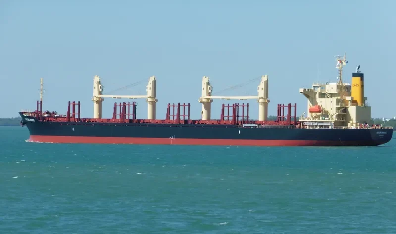 UNION MARK Bulk Carrier IMO 9775153 photo 6