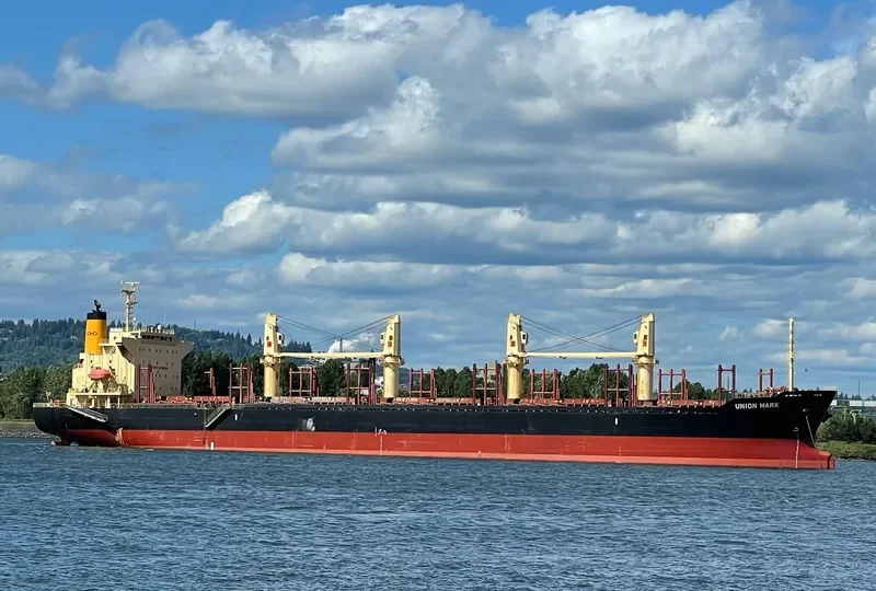 UNION MARK Bulk Carrier IMO 9775153 photo 9